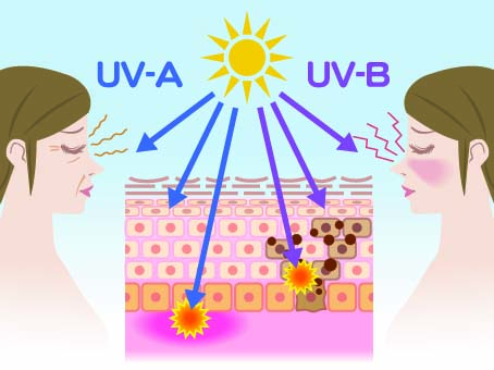 effet des UV sur la peau 